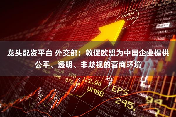 龙头配资平台 外交部：敦促欧盟为中国企业提供公平、透明、非歧视的营商环境