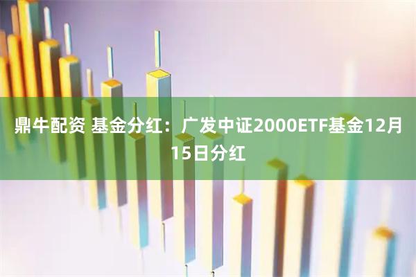鼎牛配资 基金分红：广发中证2000ETF基金12月15日分红
