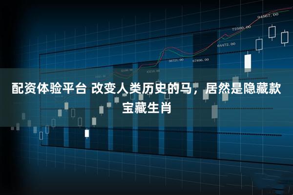配资体验平台 改变人类历史的马，居然是隐藏款宝藏生肖